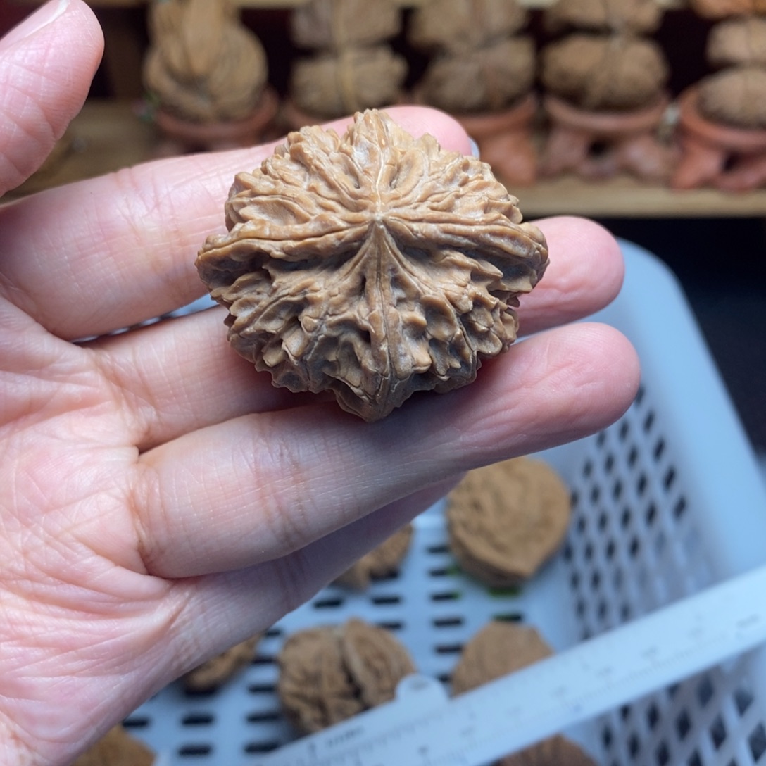 鱼***生文玩核桃把件文玩