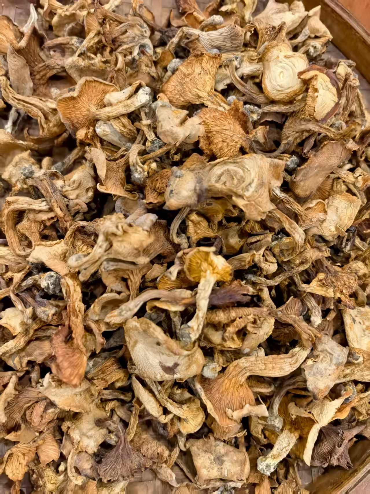 大巴山生态鸡油菌干黄丝菌新货适合炖炒的特色暖阳山货蚂蝗菌菇