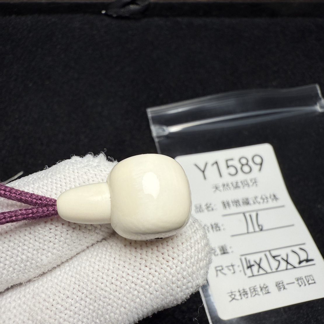 Y1589天然猛犸象牙藏式分体三通胖墩分体14*15*22mm