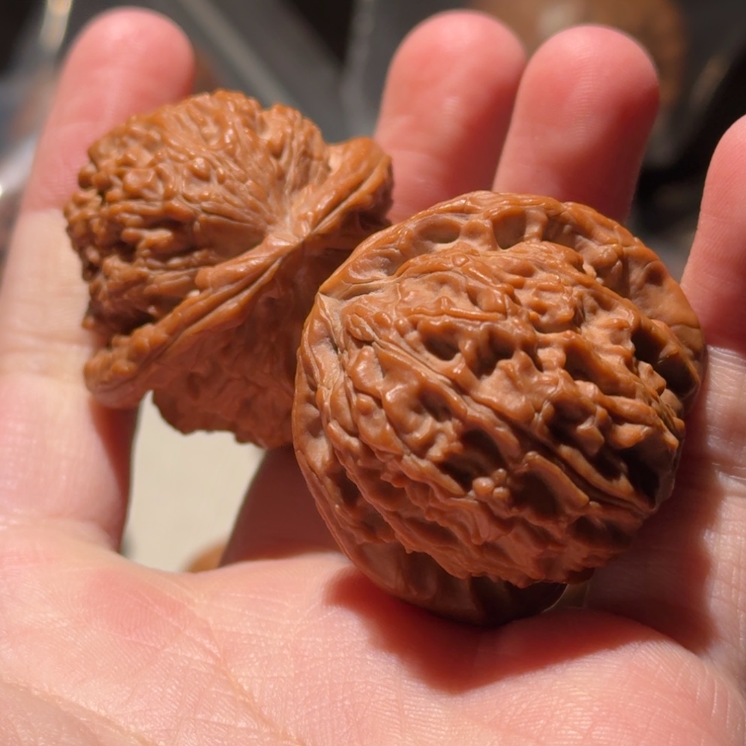 吊坠文玩核桃白狮子