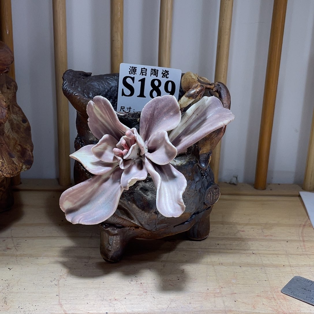 紫砂花盆景德镇陶瓷花盆189