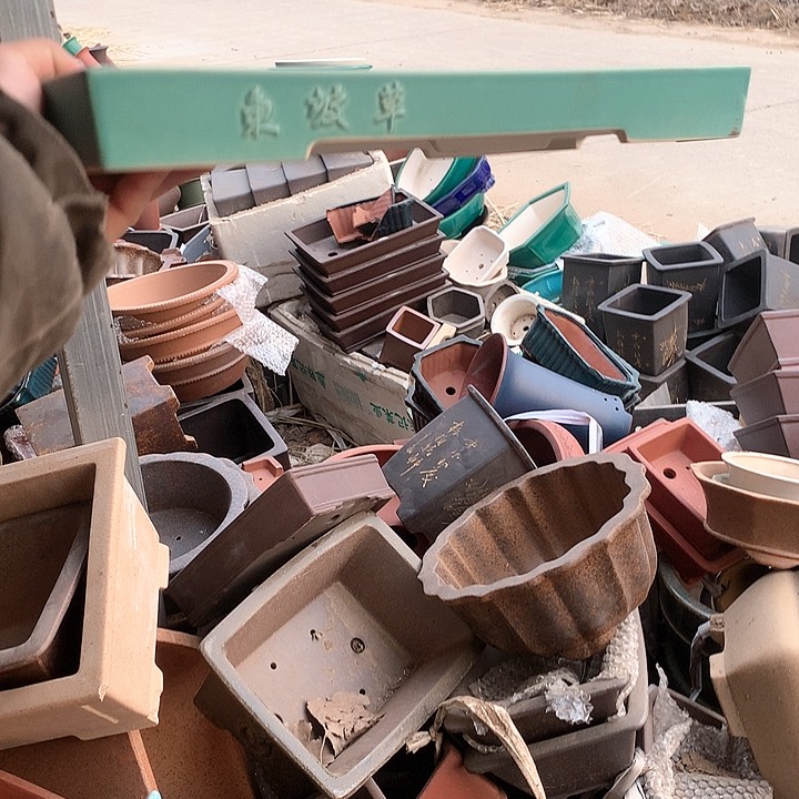 紫砂淘宝优惠券起单曲领不停……