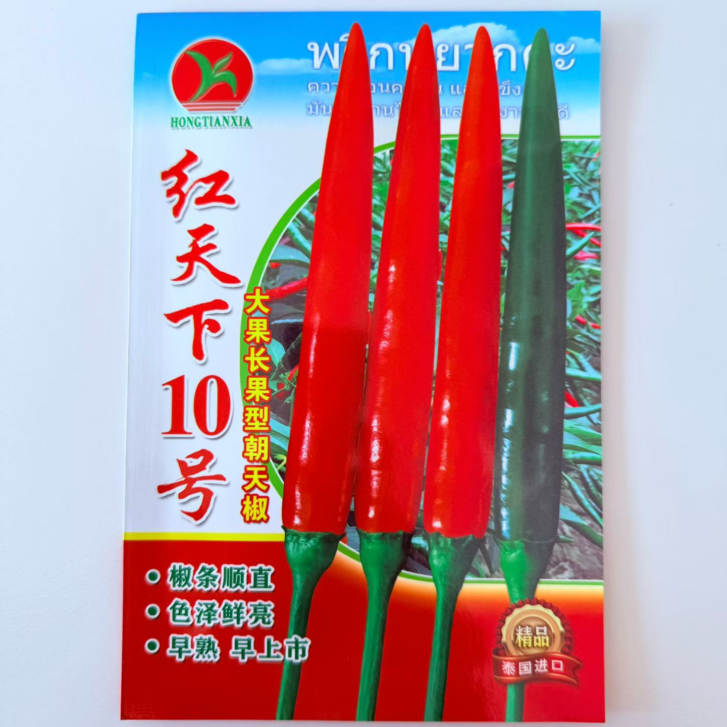 红天下朝天椒种子青红两用早熟抗寒耐热中辣朝天椒辣椒种子