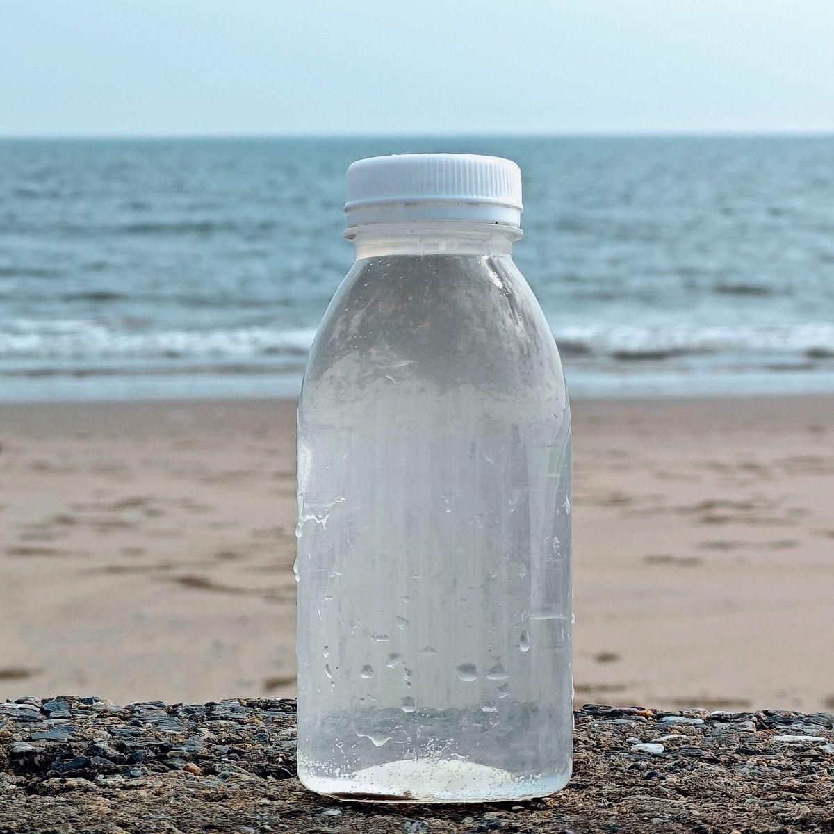 明图纯净天然海水3L送贝壳+海沙（需备注）顺丰包邮