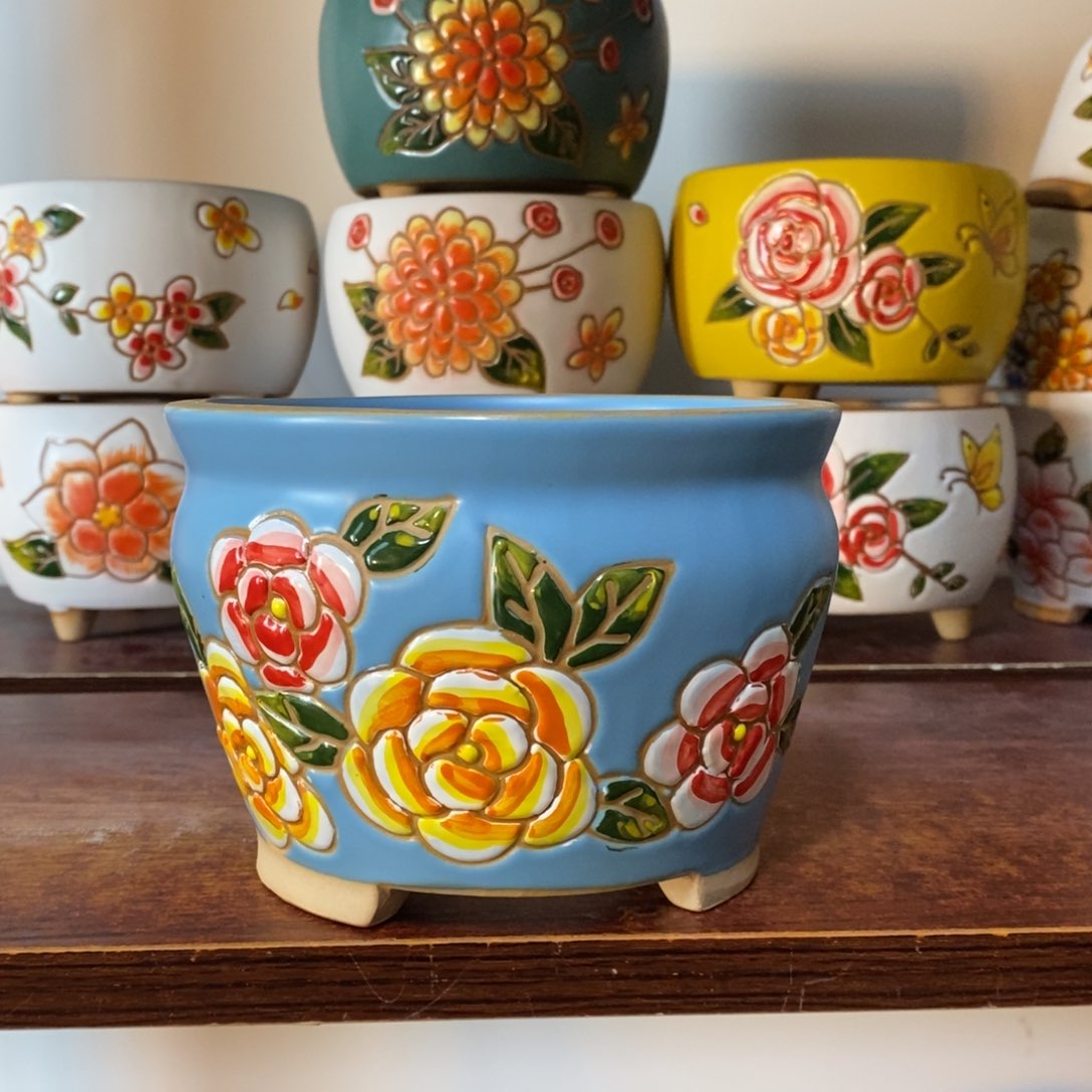 韩式多肉植物花色