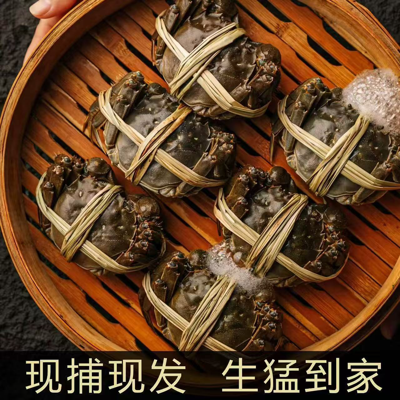 【河蟹】大公圩河蟹母蟹2.0-1.8两/只 到手10只 鲜活现发