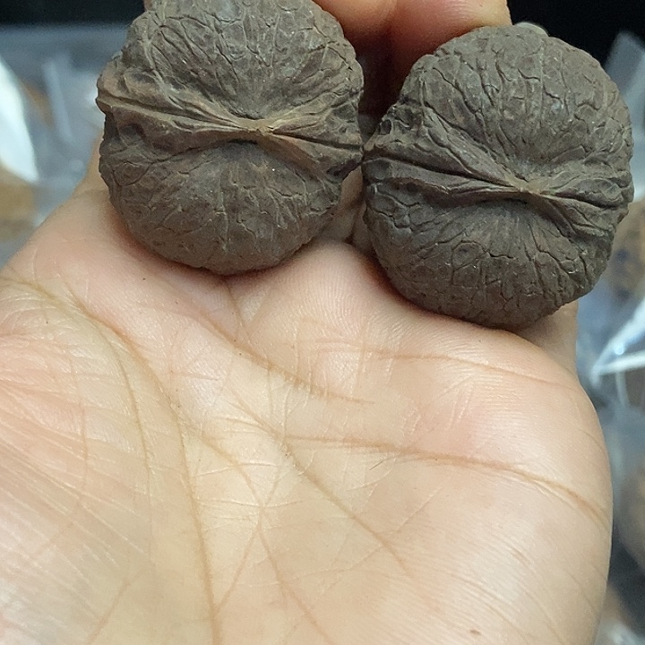 把件文玩核桃云南铁核桃基地96