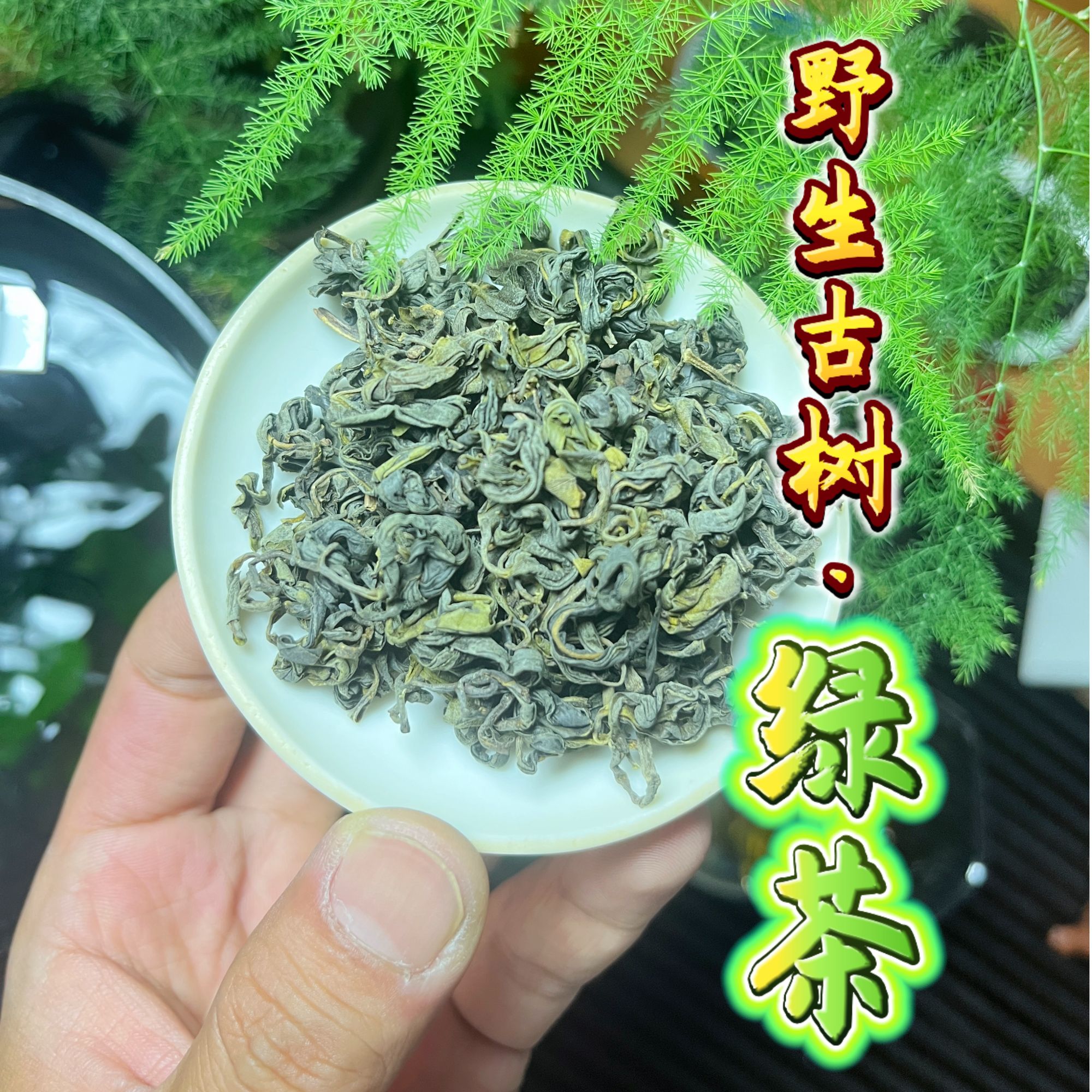 【野生古树--绿茶】2025年明前头春绿茶、清香无苦涩、鲜爽自然甘
