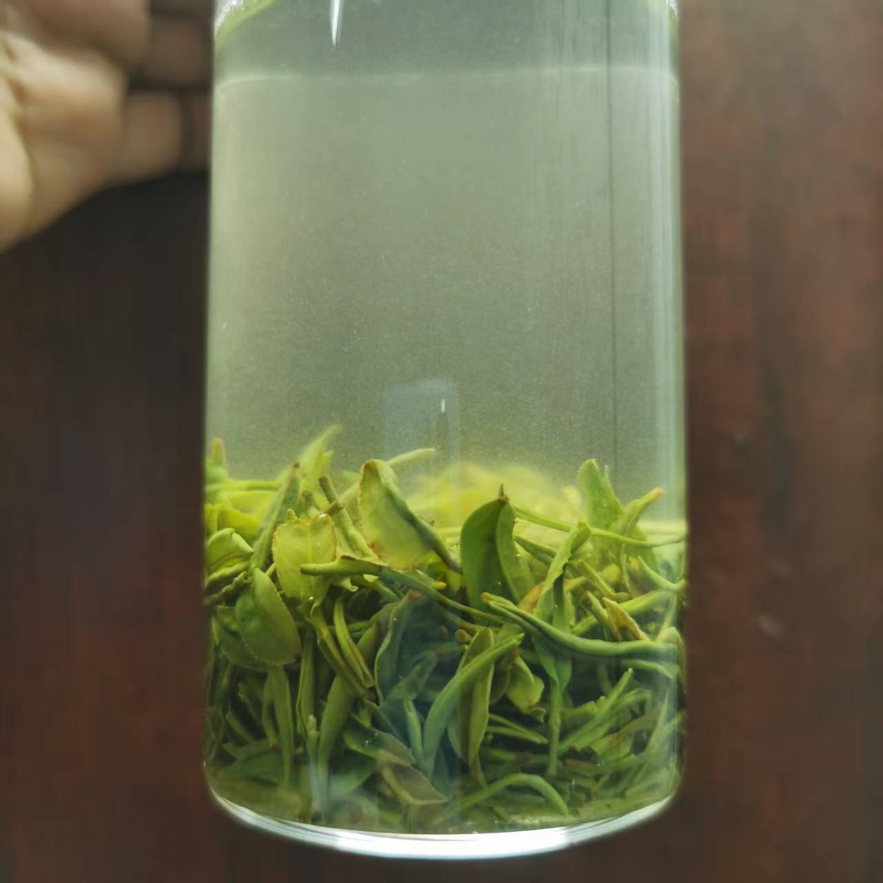 【谷雨早期楼头】真花香2025高山名山云雾茶信阳毛尖独立包装