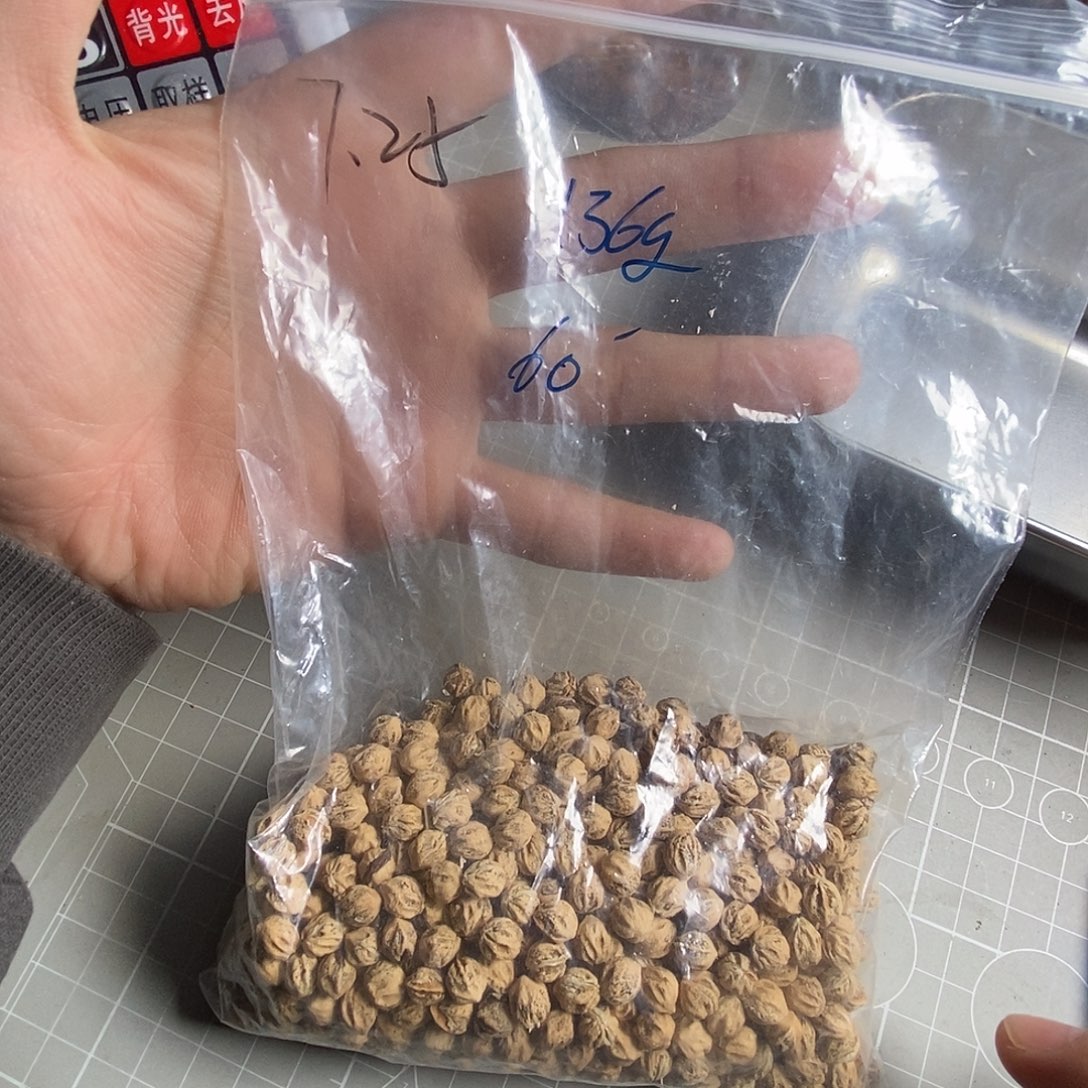 咕***子柏香籽/百香籽吊坠