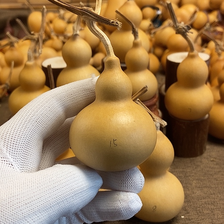 文玩葫芦 完美主义者 慎拍15