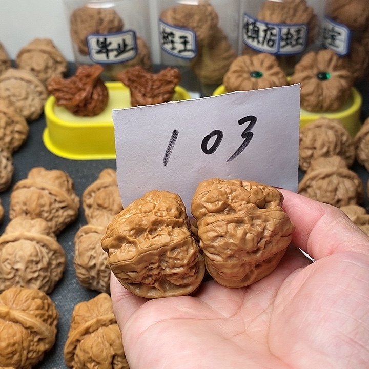 发***财核桃蛤蟆的眼睛是真的好看