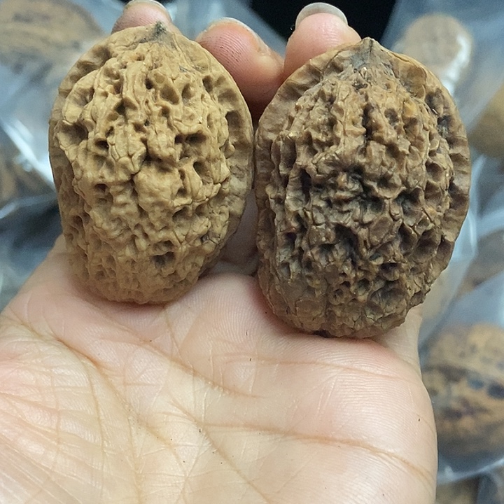 文玩核桃把件云南铁核桃基地67