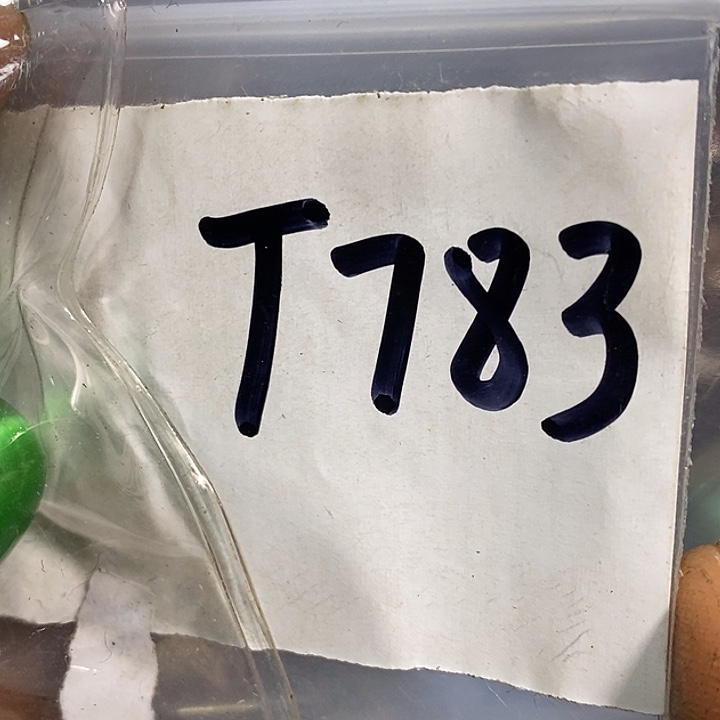 到***里民间喜乐购专项链接