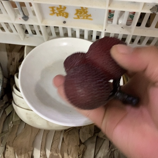 l***e陶瓷材料研究中心紫砂