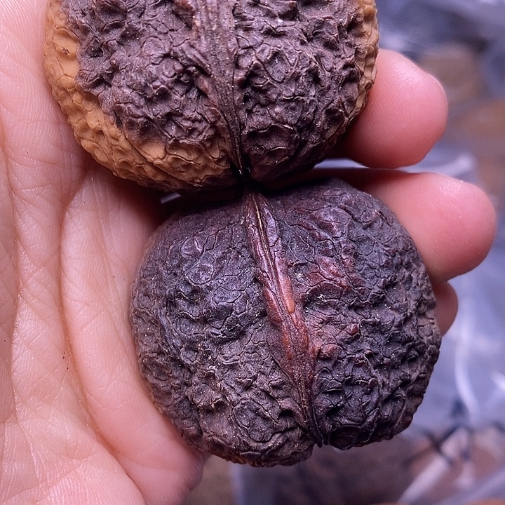 文玩核桃吊坠   101