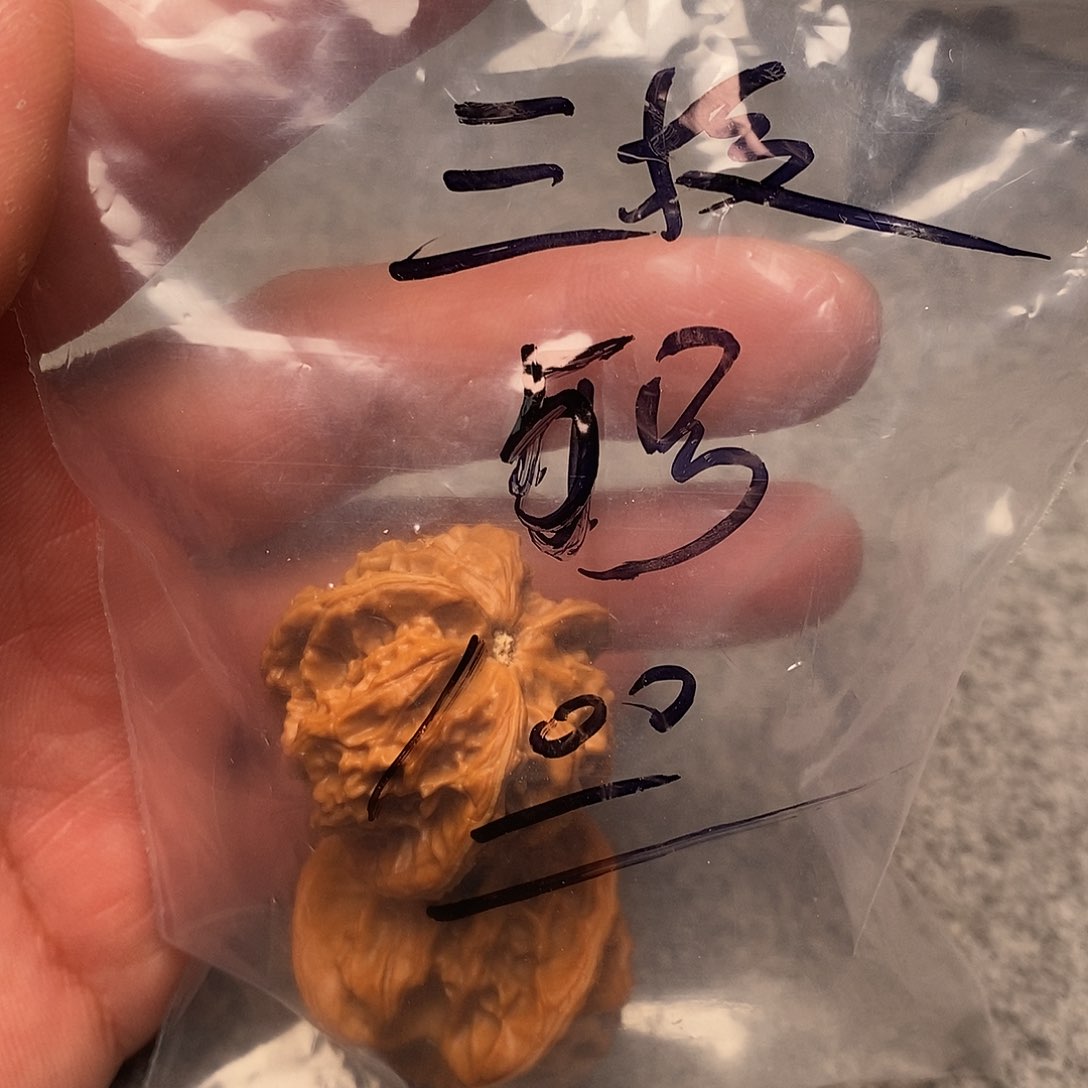 文玩核桃把件三棱