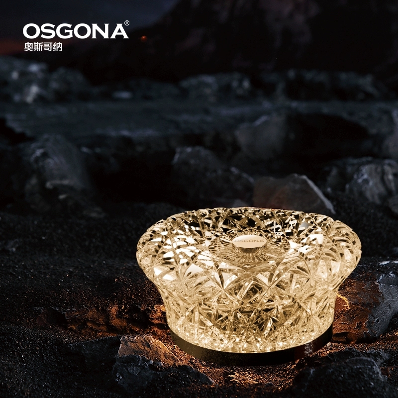 OSGONA/奥斯哥纳高颜值卧室床头礼物松弛感氛围充电小台灯︱闪耀