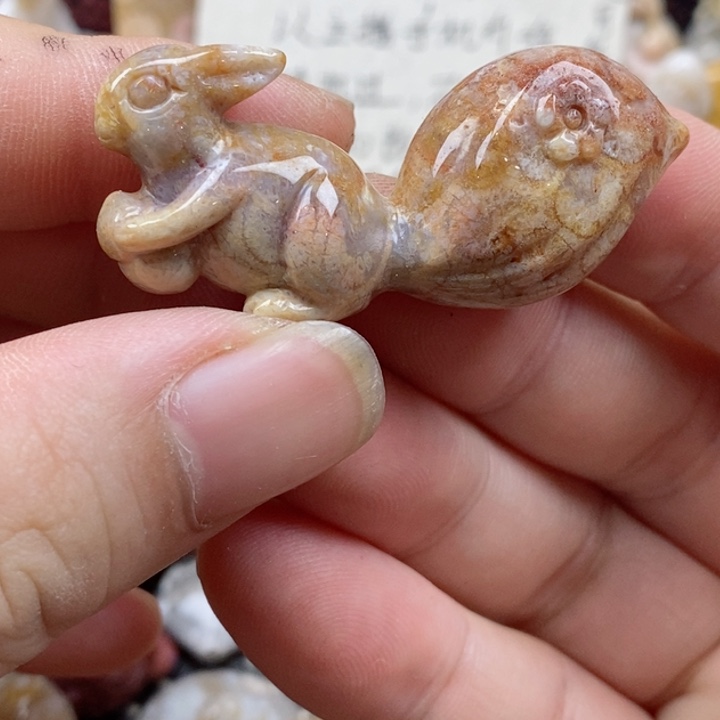 颈饰未镶嵌硅化珊瑚（珊瑚玉）有瑕
