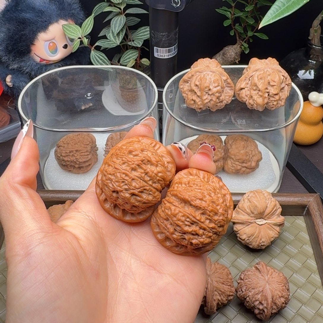 把件龙脊菩提血麒麟（微修打底）42