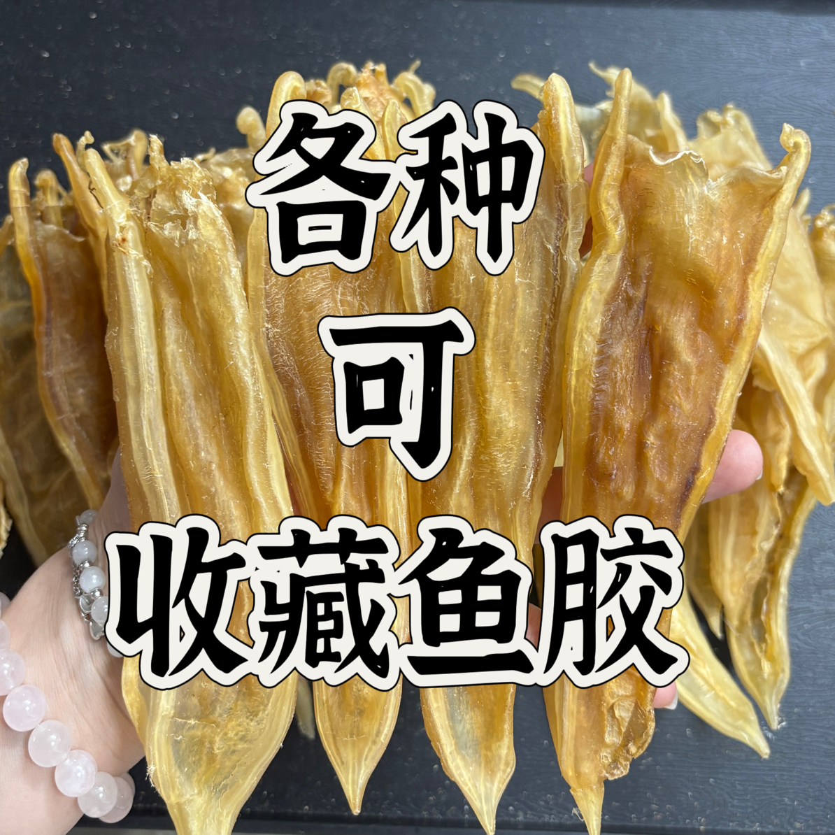 鱼胶 大规格可收藏 补胶原 