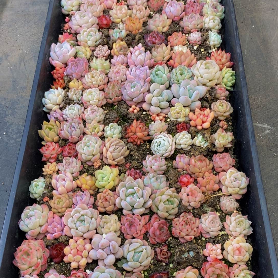 454大任务完成任务了