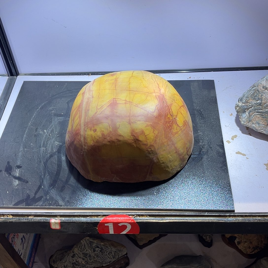 紫砂我也不知道自己为什么想