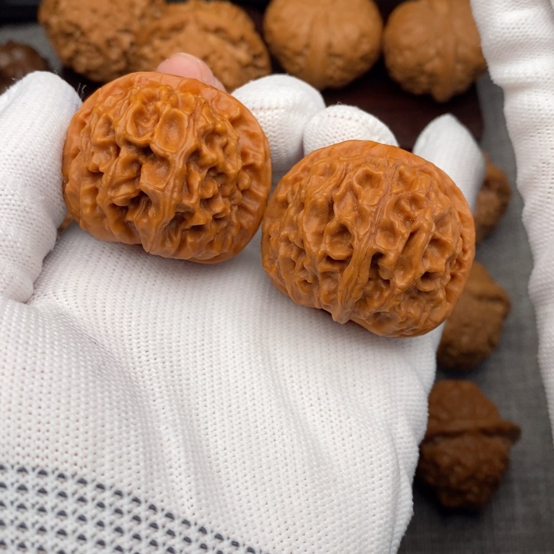 文玩核桃把件39老树怀柔天地