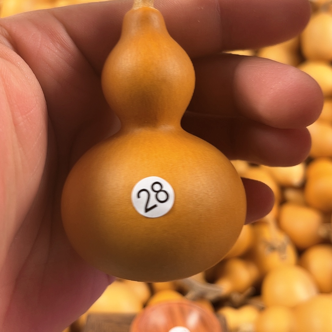 三葫芦葫芦葫芦葫芦28