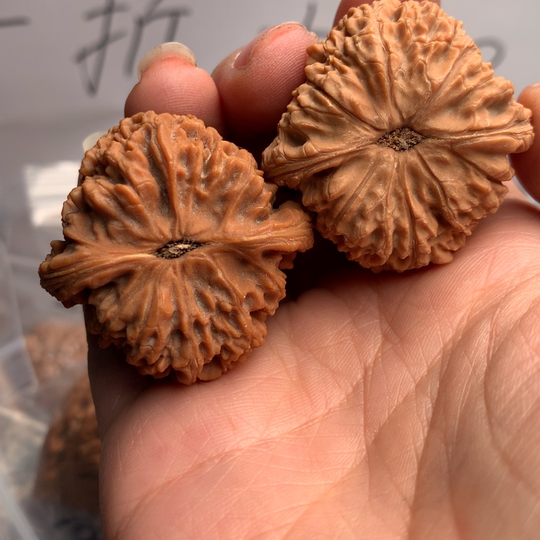 B***d南疆45多年历史见证与实践