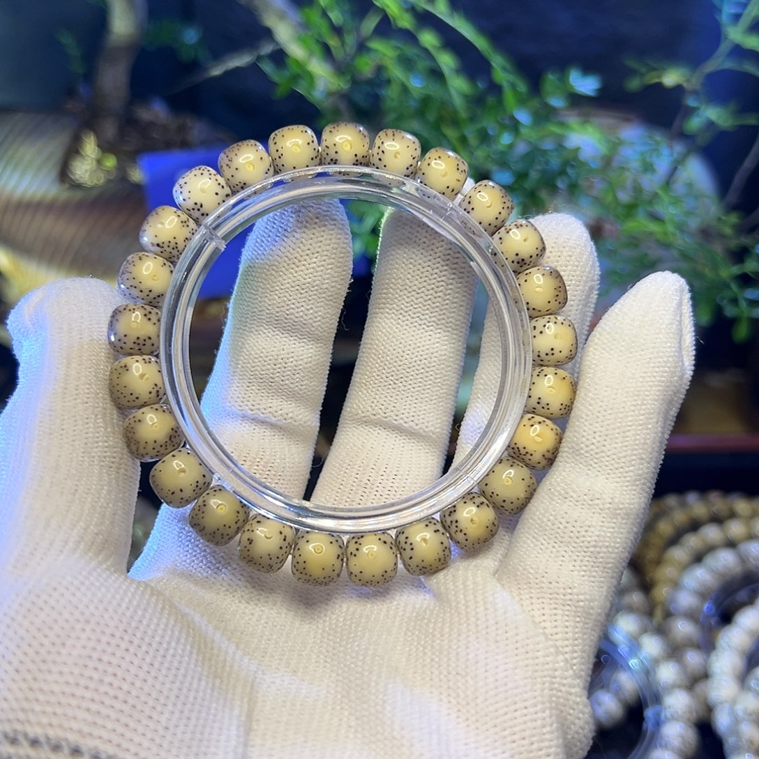 手串星月菩提海南原生态