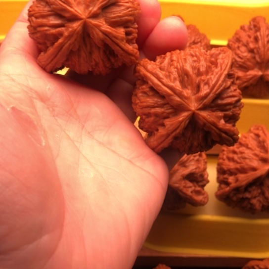 呦***核桃核桃核桃核桃核桃