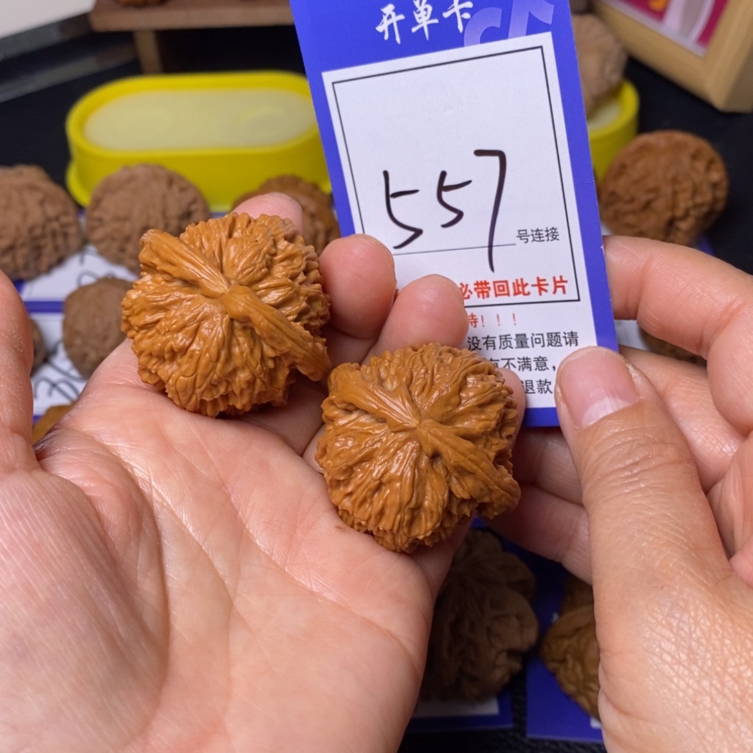 文玩核桃把件41白狮子557