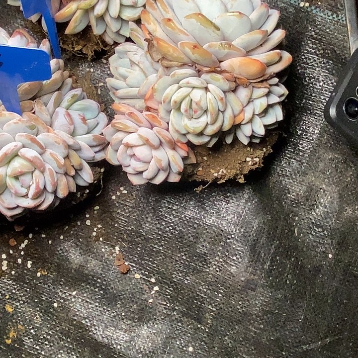 三*47///////////////