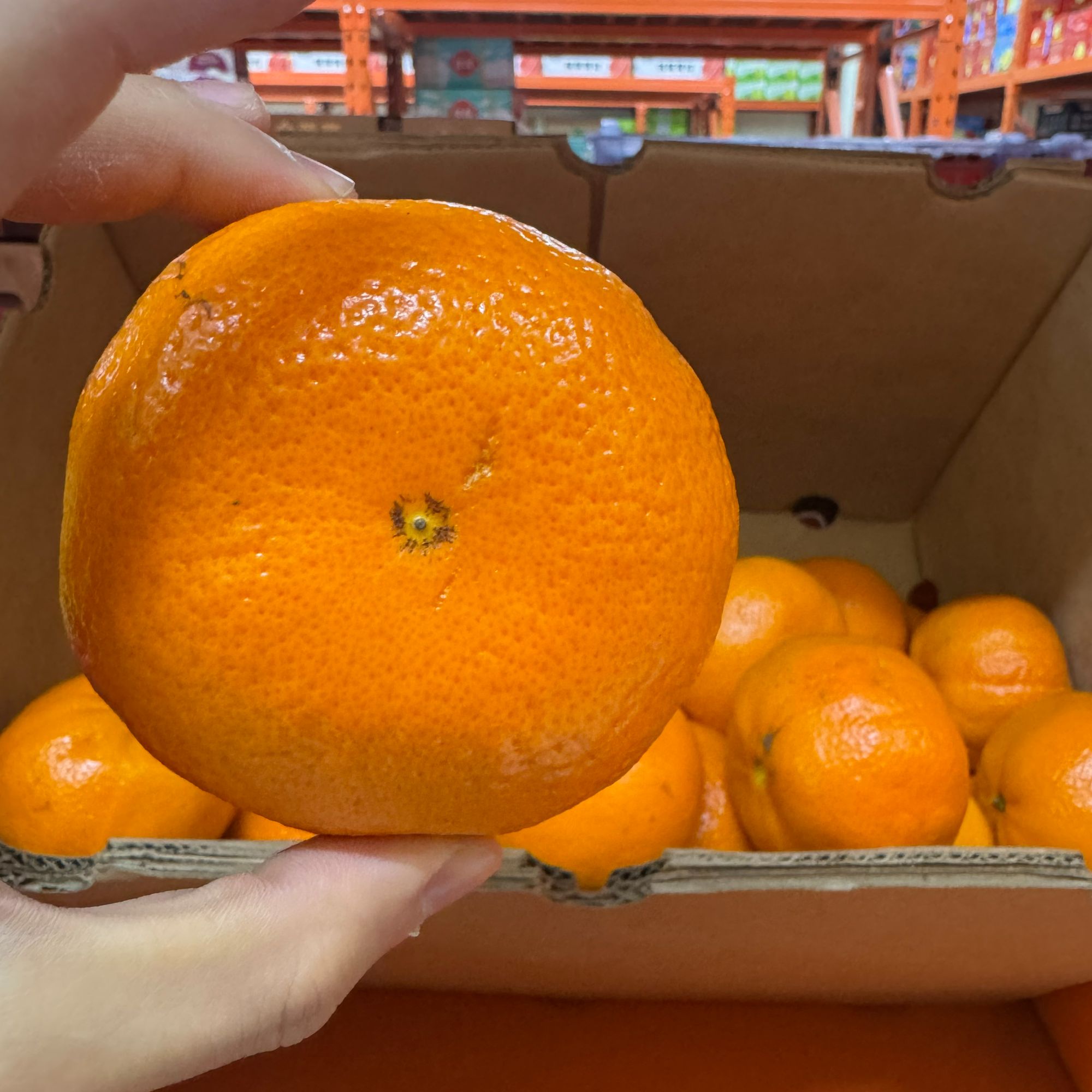 【京东次日达】进口巴西橙 高糖低酸 口感纯甜