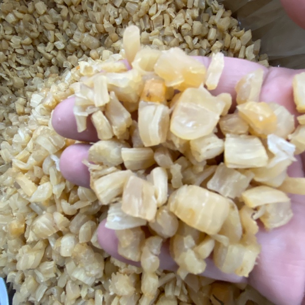 淡干元贝碎碎贝柱瑶柱碎煲粥煮汤500g包邮