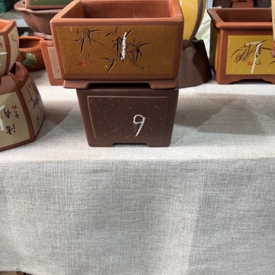 【闪购商品】我**阳内扣15内高8