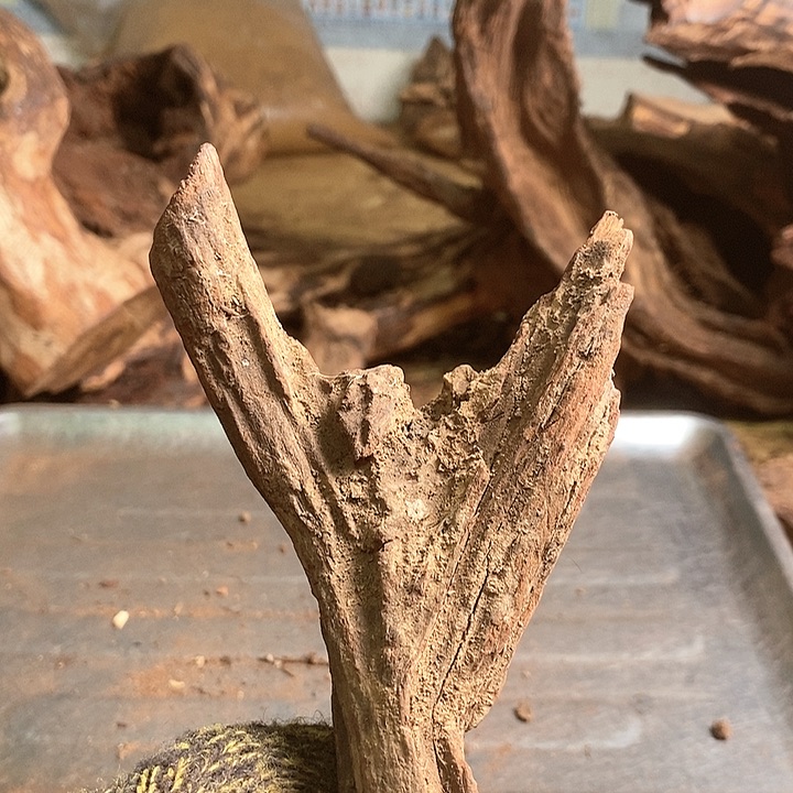 花梨木类枫**途海南花梨