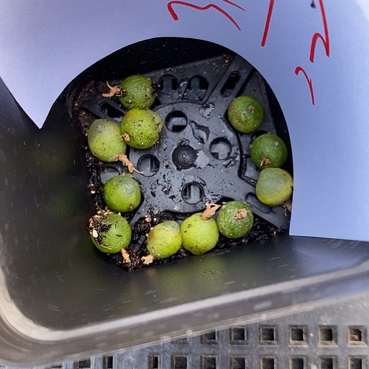 3101小拉登一组。     