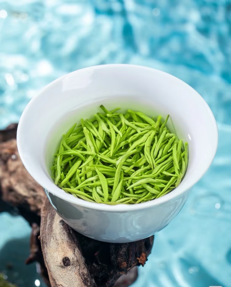 2025新茶全芽明前毛尖浓香耐泡鲜爽回甘