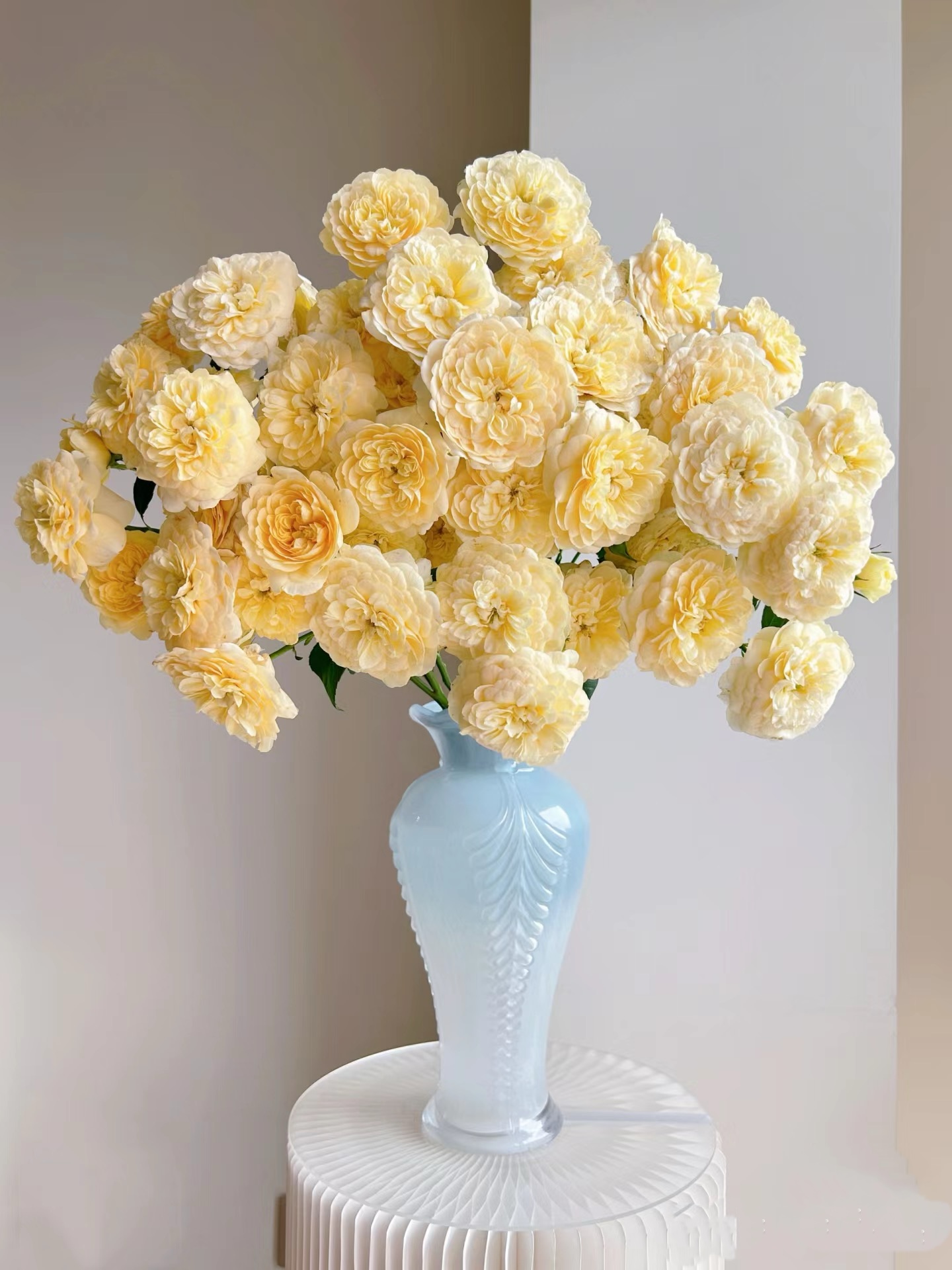 【如熙臻品】蜜柚汁阳台-多头玫瑰（注意：特殊花材，一定带包装醒花