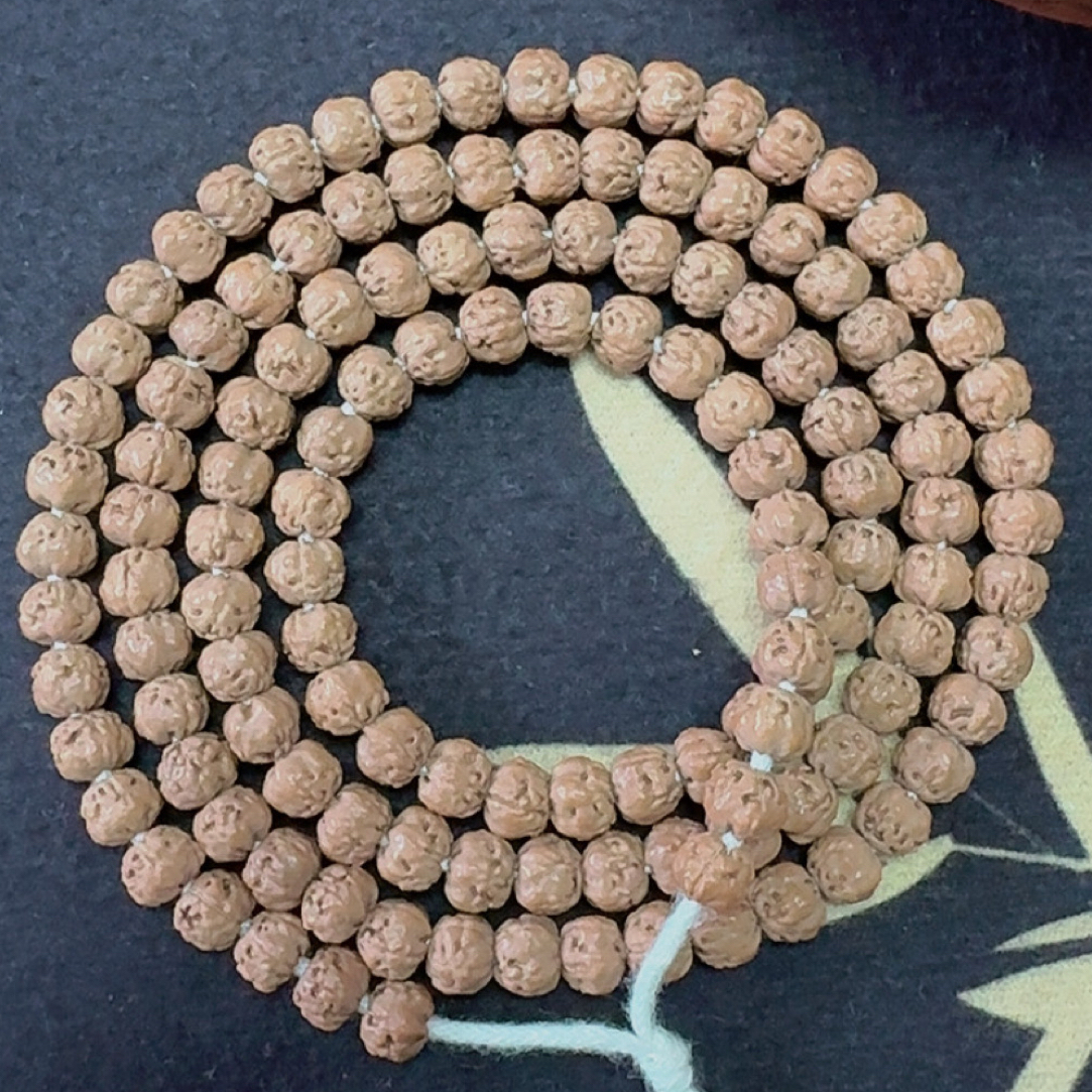 【毕业级】天然原生态原装金刚佛手五爪金龙108长串 5-6mm+原皮原色