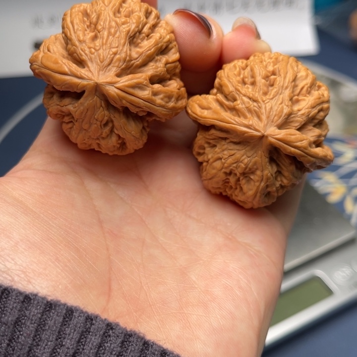 文玩核桃把件粗筋42