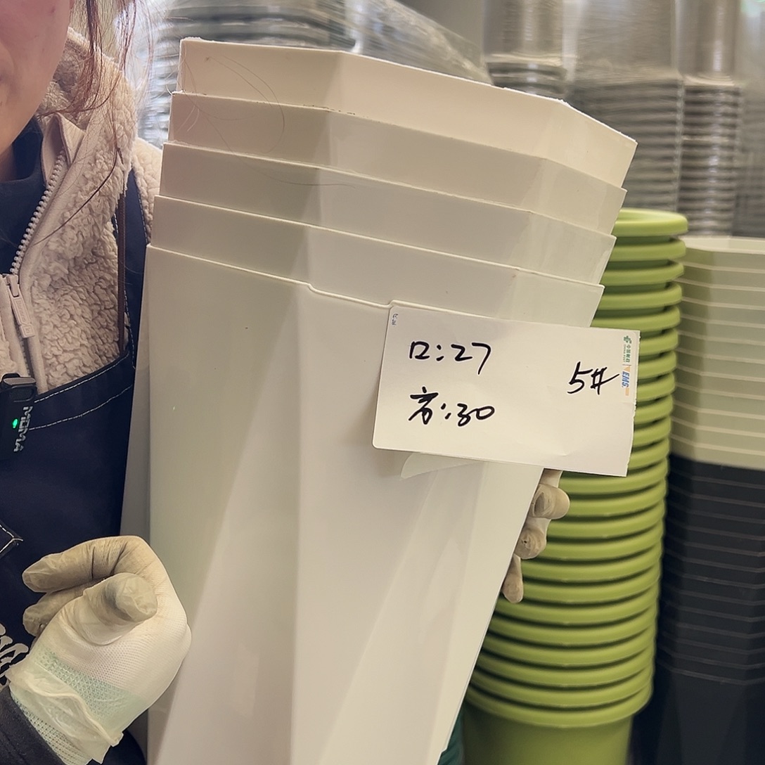 瑕疵钻石盆5#白色5个无托