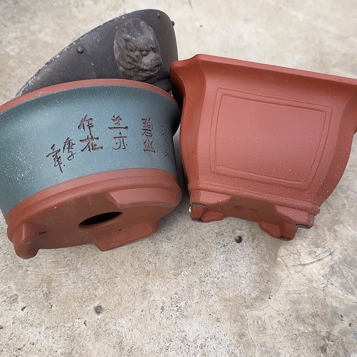 紫砂花盆这是我的