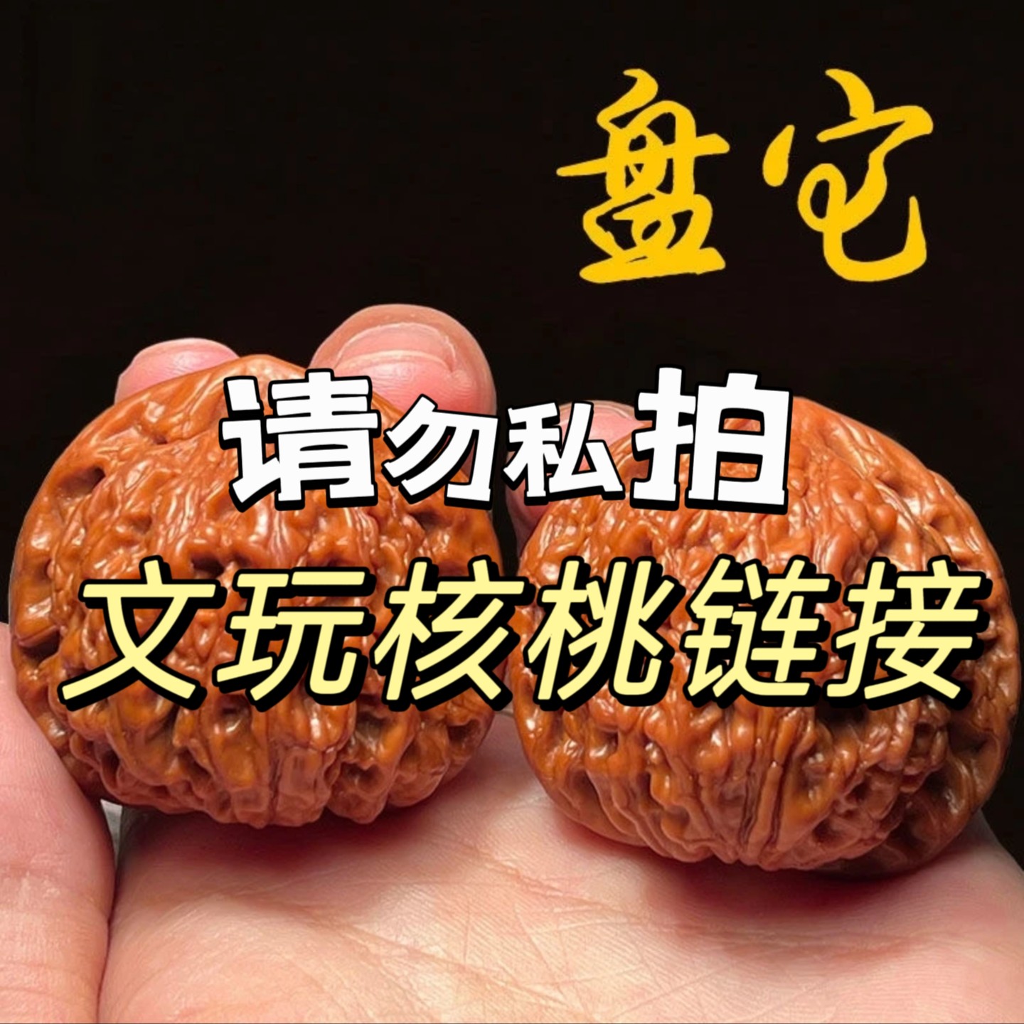 麻核桃精工修白狮子蛤蟆头元宝