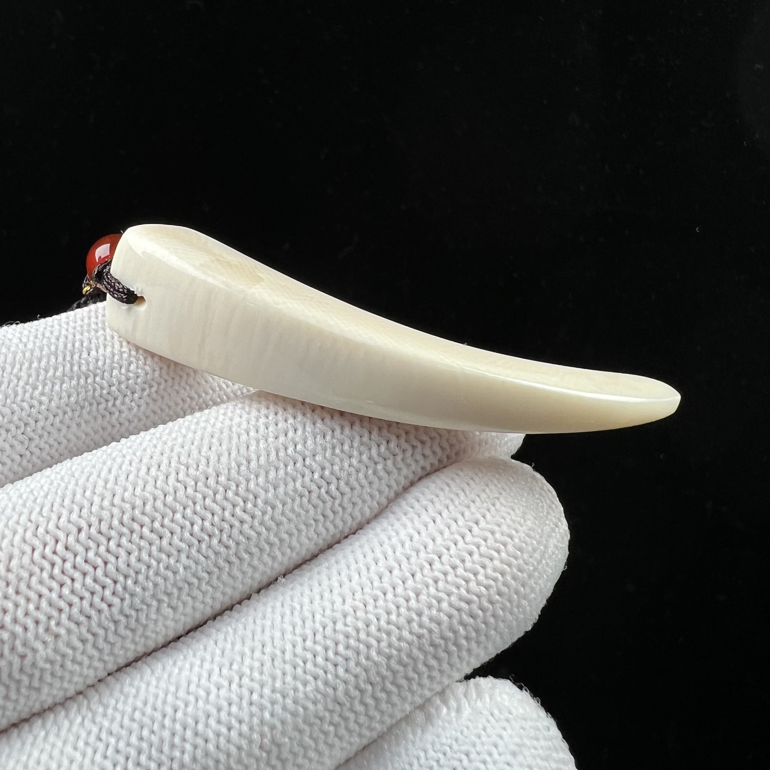 D3664 天然猛犸牙 牙尖 56mm支持鉴定 假一罚四