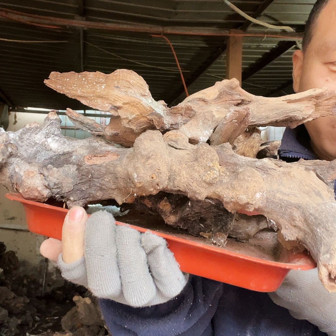 安***静无花朵000000000000283