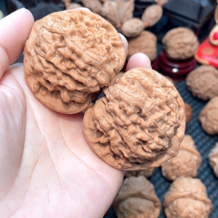 麒麟纹官帽5.1全品无修。