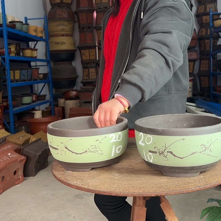 20+20绿球盆花盆花盆花盆